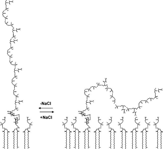 FIG. 18.