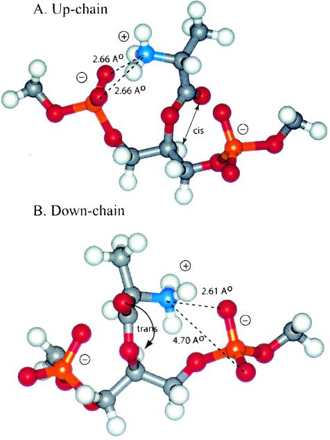 FIG. 8.