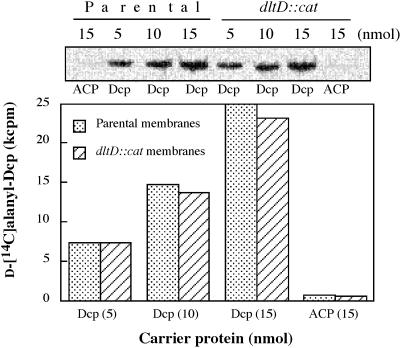 FIG. 14.