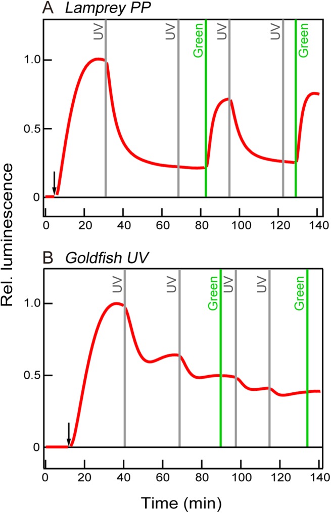 Fig 6