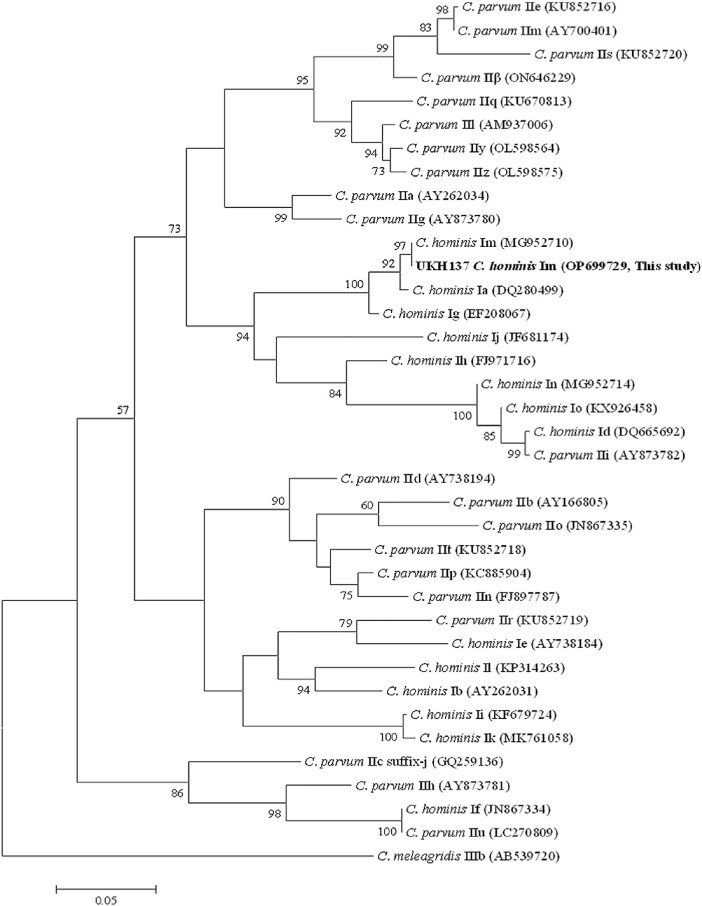 Figure 2.