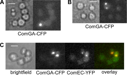 FIG. 6.