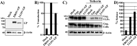 FIG 1