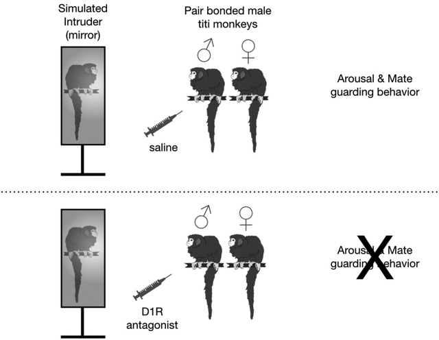 graphic file with name nihms-1616893-f0001.jpg