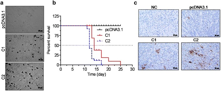 Fig. 6