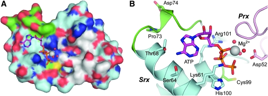 FIG. 4.