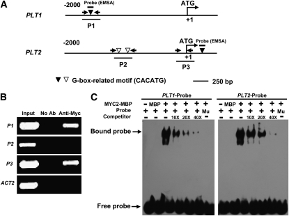 Figure 6.