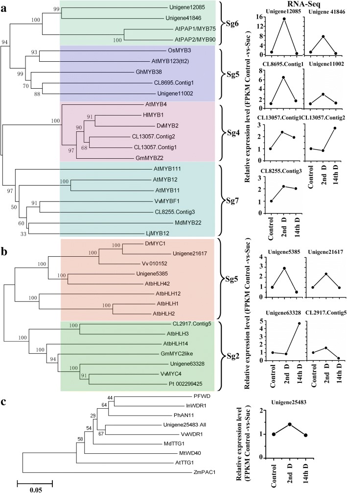 Fig. 6