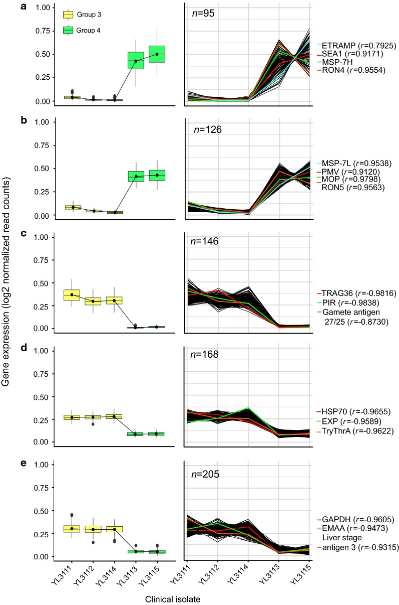 Fig. 4