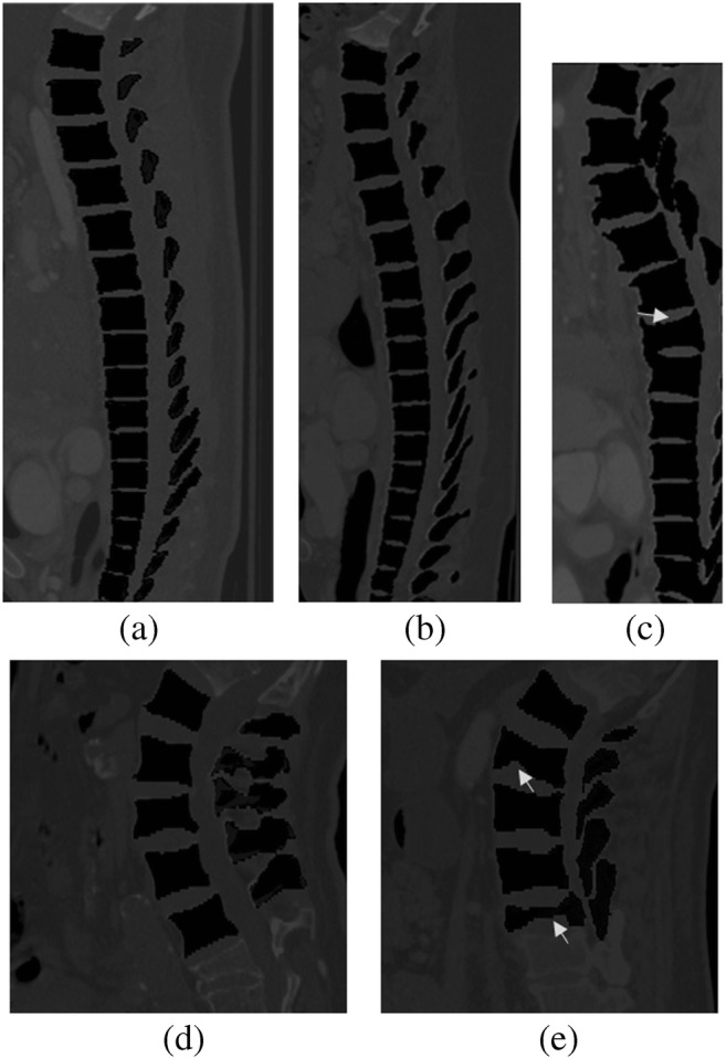 Fig. 8