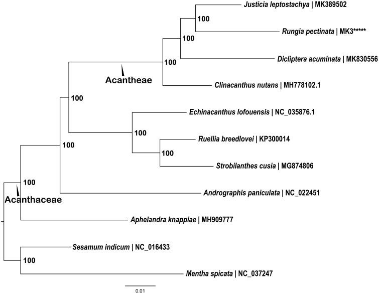 Figure 1.