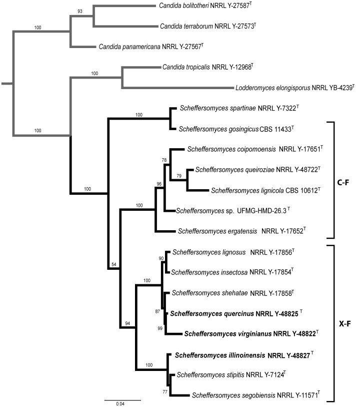 Figure 2