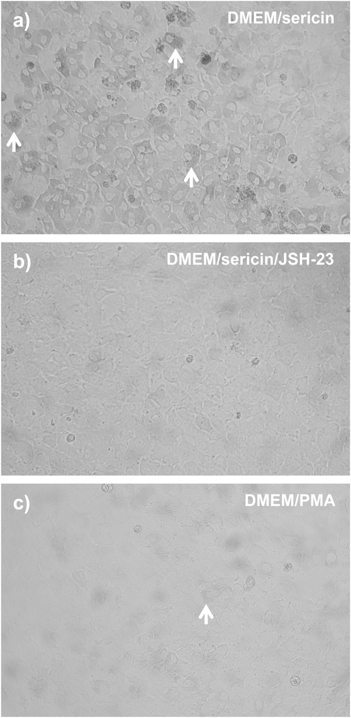 Figure 7