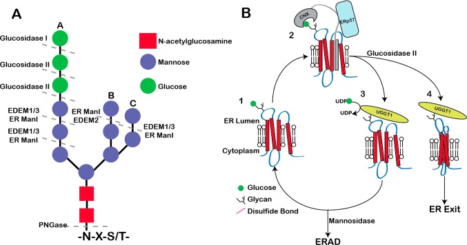 Figure 14