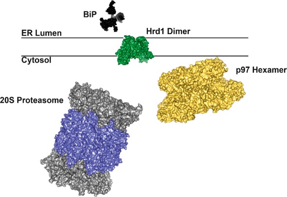 Figure 18