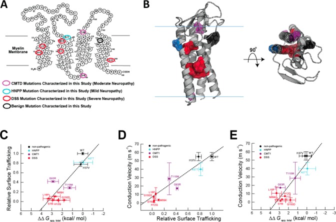 Figure 24