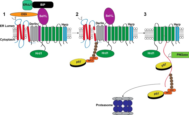 Figure 17