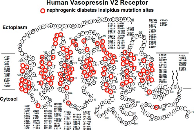 Figure 19