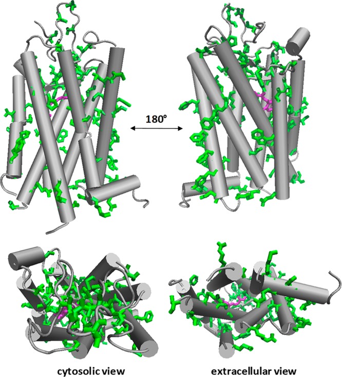 Figure 23