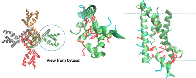 Figure 21