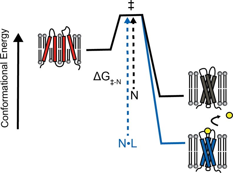 Figure 8