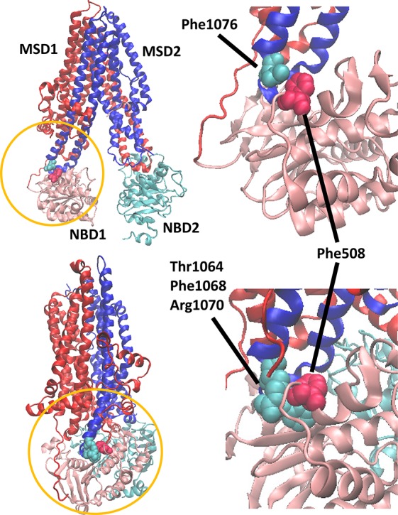 Figure 25