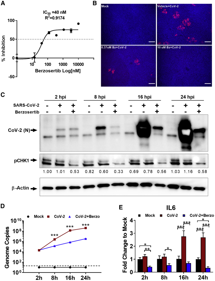 Figure 4