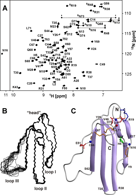 FIGURE 2.