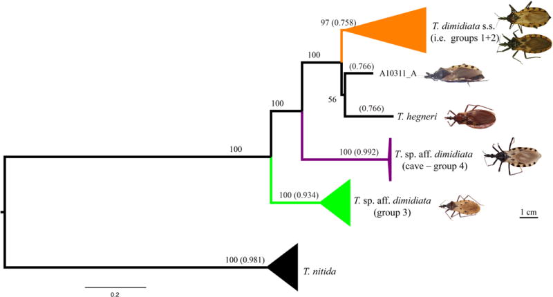 Fig. 3