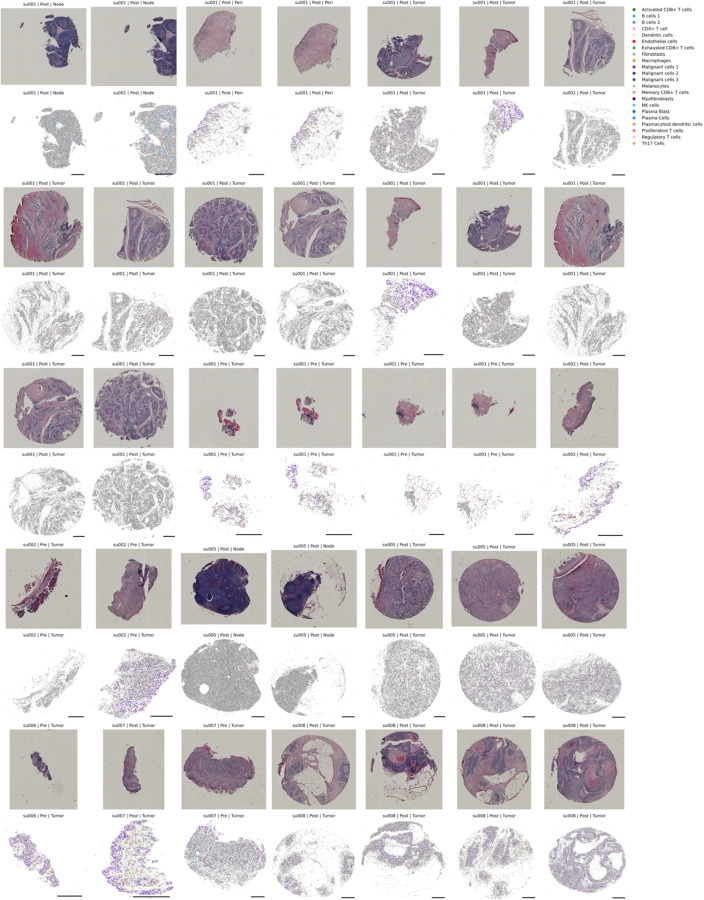 Extended Data Figure 3: