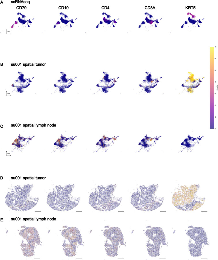 Extended Data Figure 4: