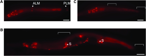 Figure 3.—