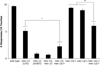 Figure 6.—