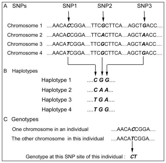 Fig 4