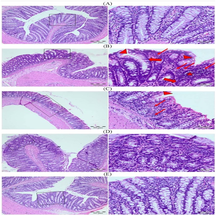 Figure 19