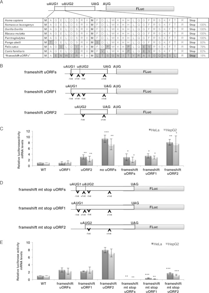 FIG 3