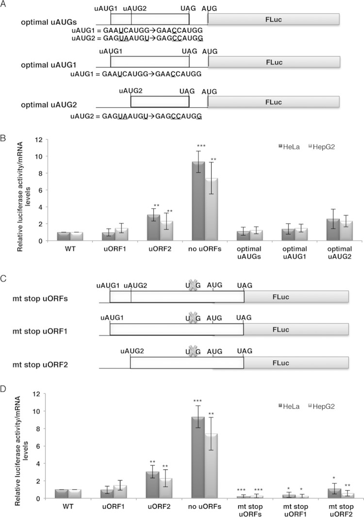 FIG 2