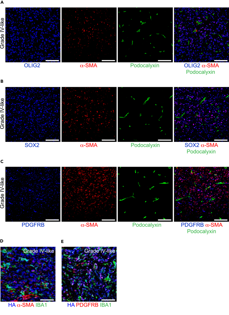 Figure 4