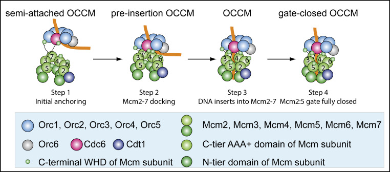 Fig. 7.