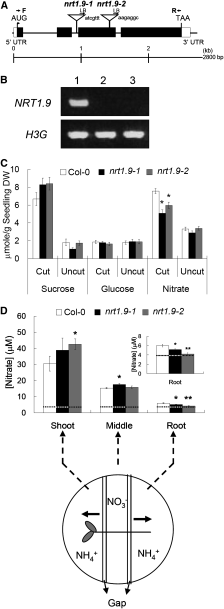 Figure 6.