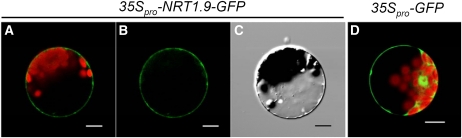 Figure 5.