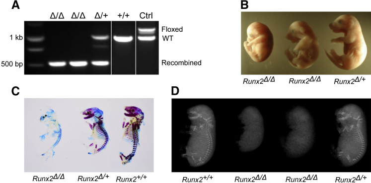 Figure 2