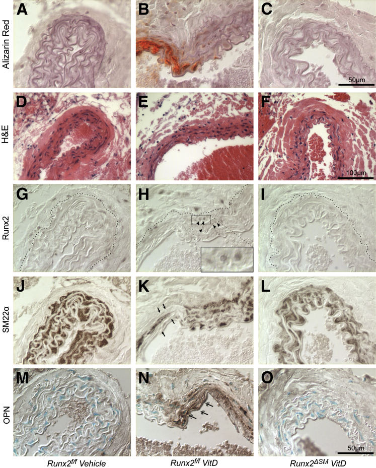 Figure 6