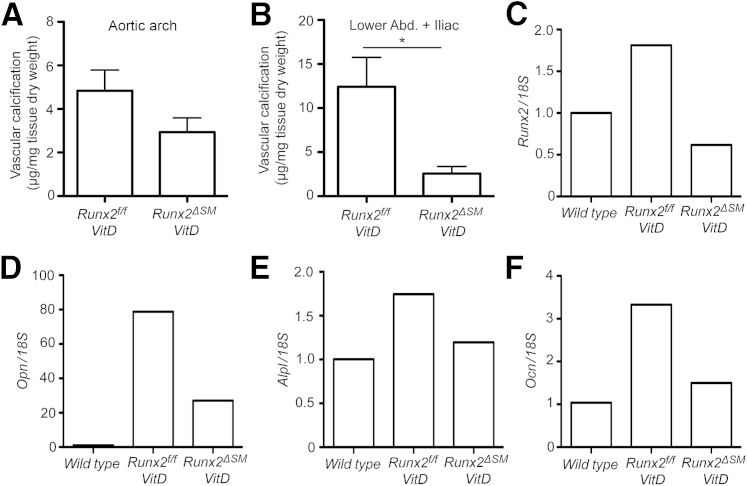 Figure 7