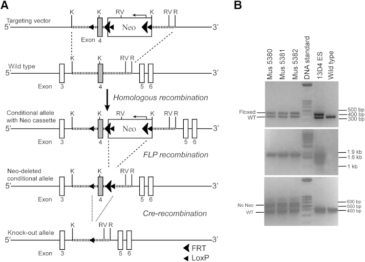 Figure 1