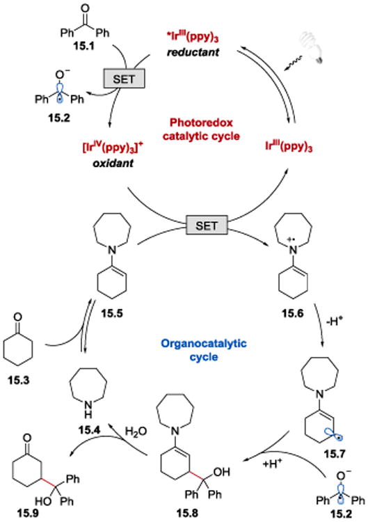 Scheme 15