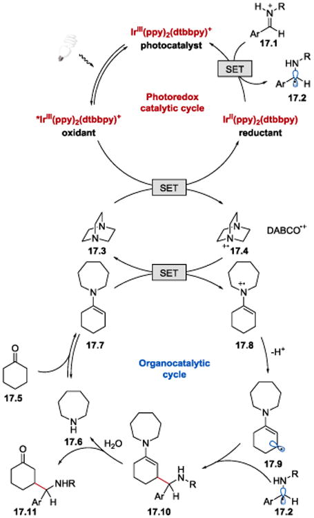 Scheme 17