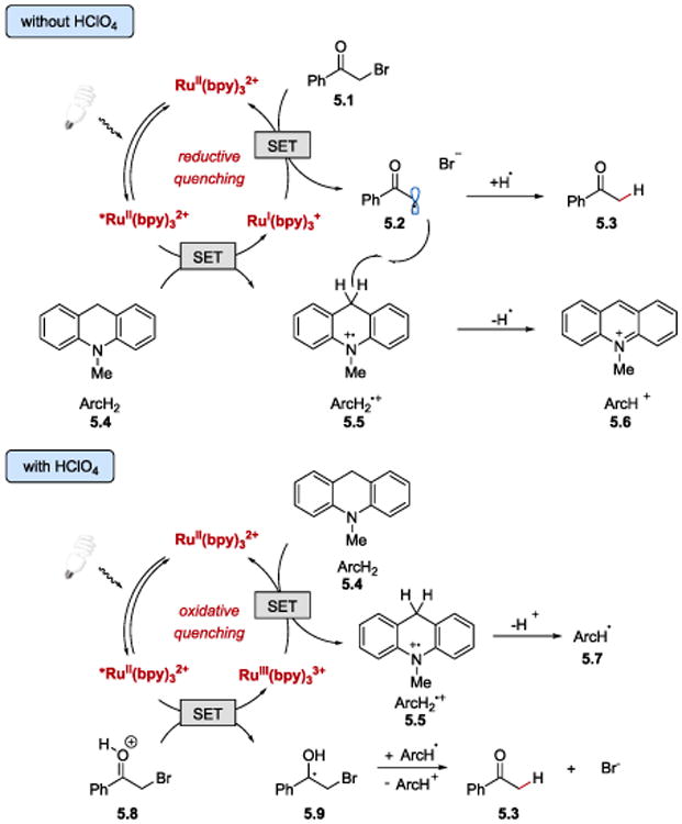 Scheme 5