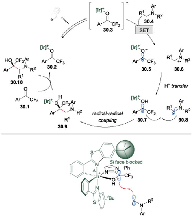 Scheme 30