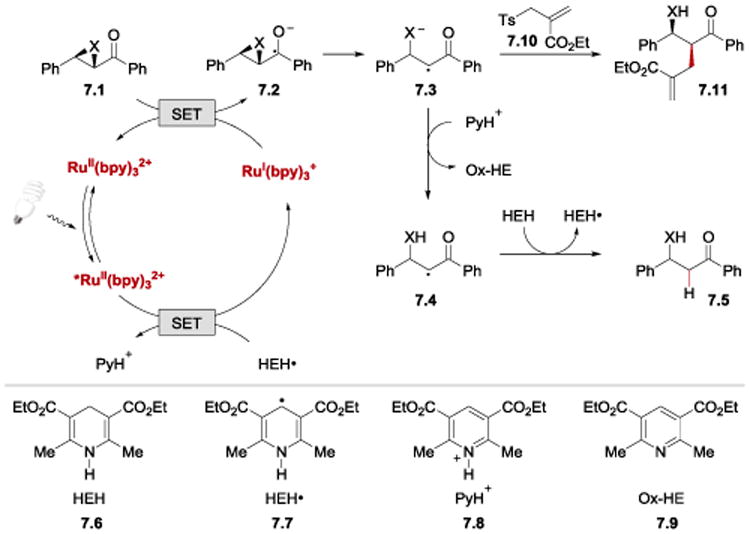 Scheme 7